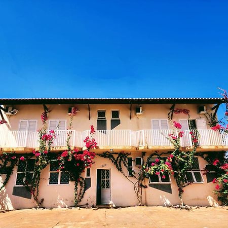 Economique Hotel Ilha Solteira Eksteriør billede