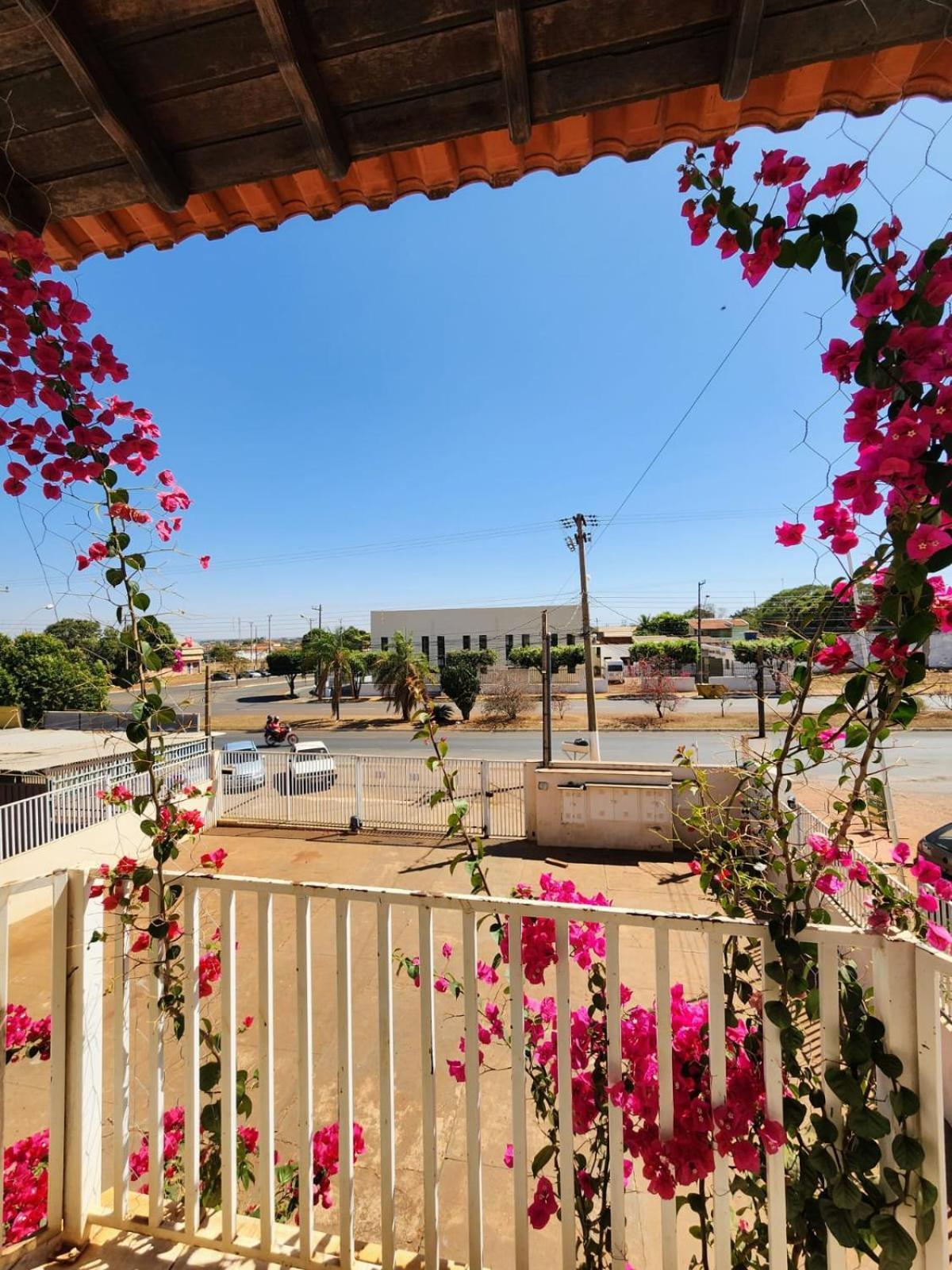 Economique Hotel Ilha Solteira Eksteriør billede